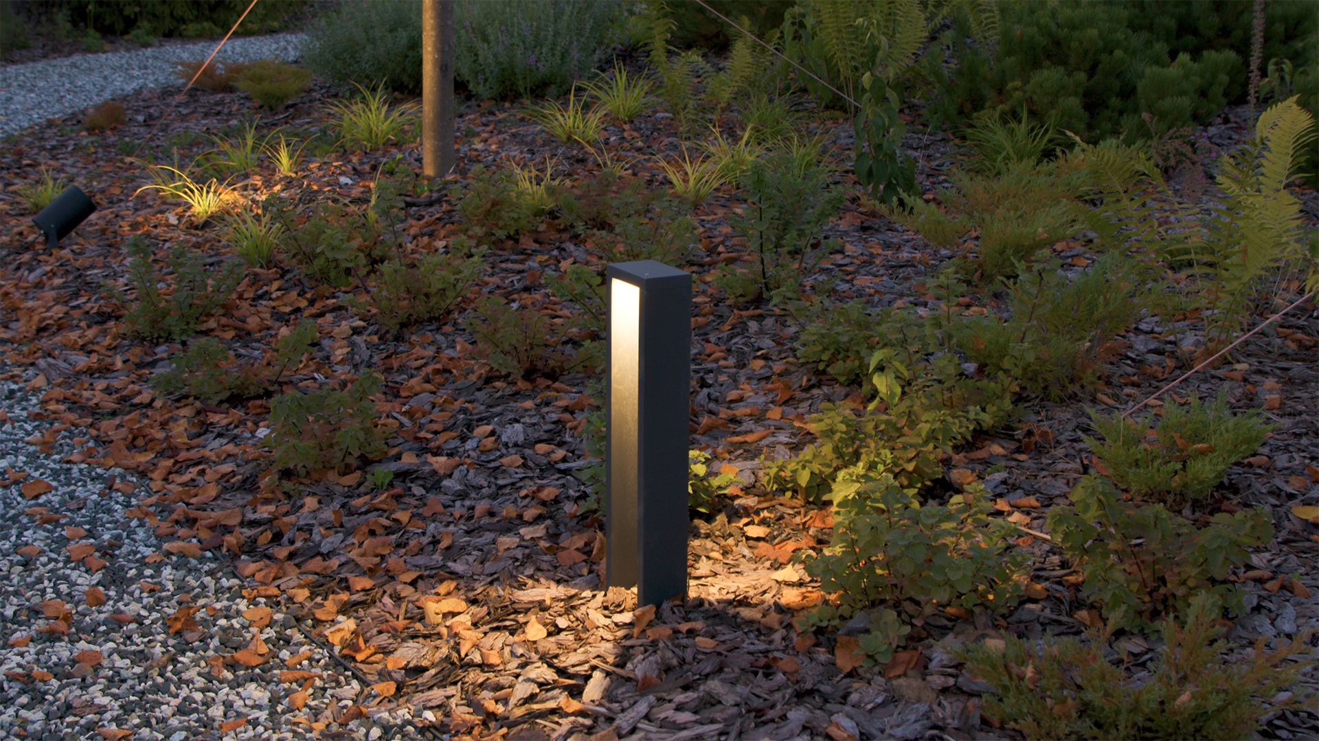 Гектар мечты