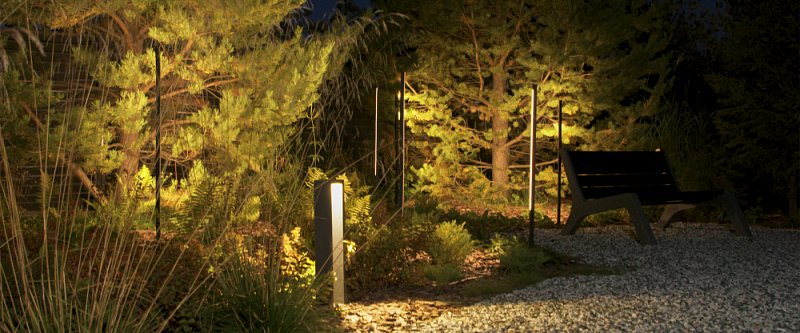 Гектар мечты