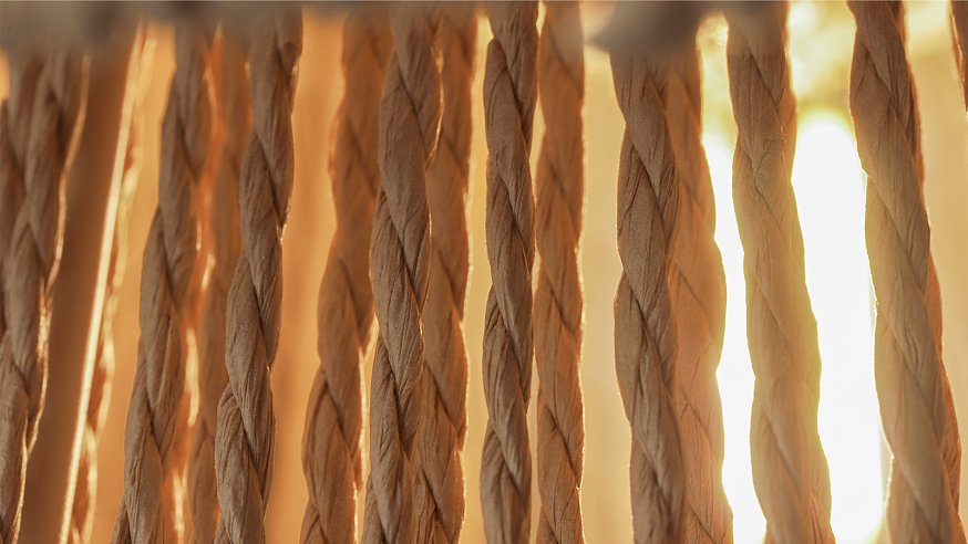 Тропическая терапия