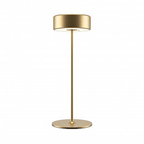 Аккумуляторный светильник ИИ Коллаборация / AI Collaboration 2200-4000К 3Вт